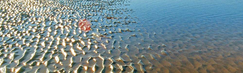 Strand bei Meldorf an der Nordsee