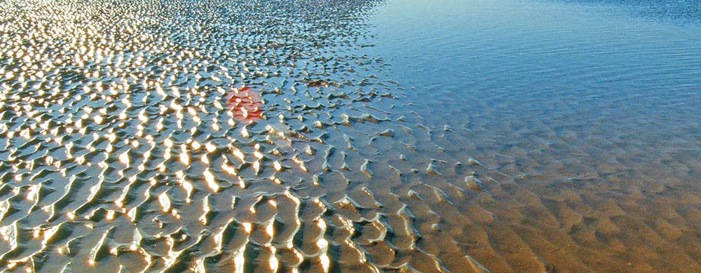 Strand bei Meldorf an der Nordsee